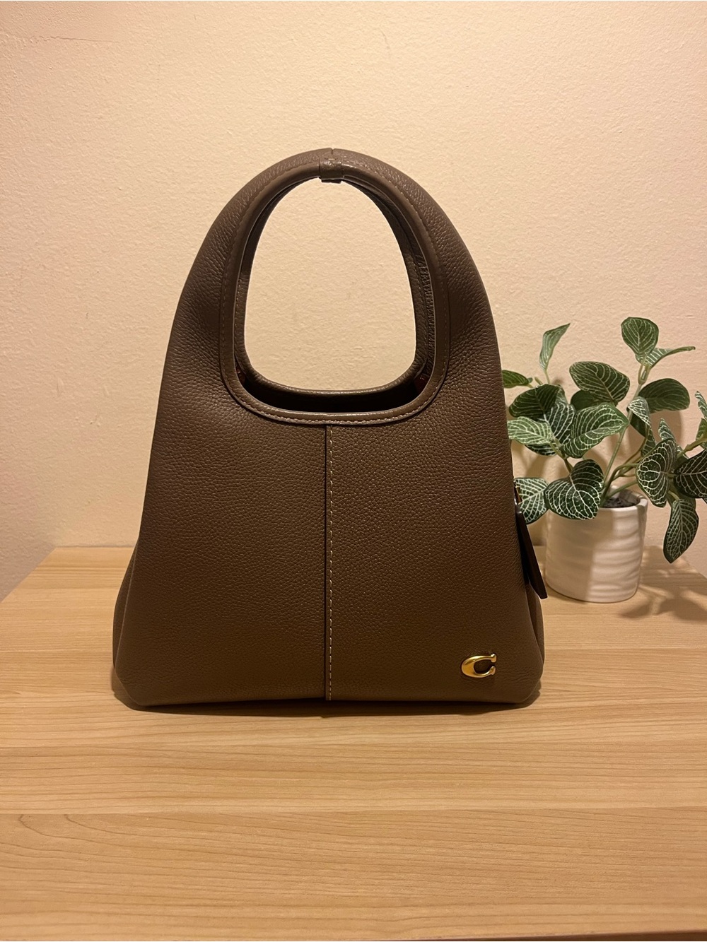 Coach Lana Shoulder Bag 23
